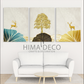 HIMADECO - ASI-0279-0280-0281