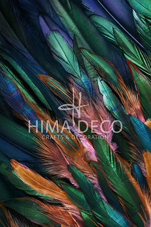 HIMADECO - PAL-0038