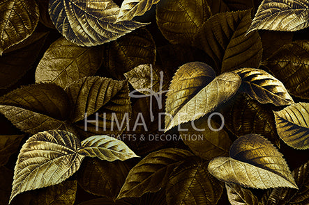 HIMADECO - PAL-0441